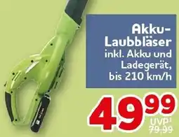 CENTERSHOP Akku Laubbläser Angebot