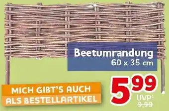 CENTERSHOP Beetumrandung Angebot