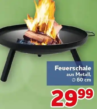 CENTERSHOP Feuerschale Angebot
