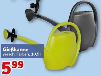 CENTERSHOP Gieẞkanne Angebot