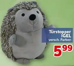 CENTERSHOP Türstopper IGEL Angebot