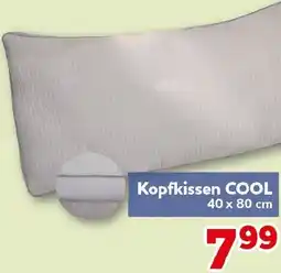 CENTERSHOP Kopfkissen COOL Angebot