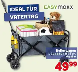 CENTERSHOP EASYmaxx Bollerwagen Angebot