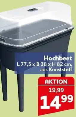 CENTERSHOP Hochbeet Angebot