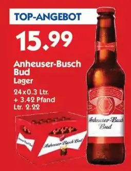 Hol'ab Getränkemarkt Anheuser-Busch Bud Lager Angebot