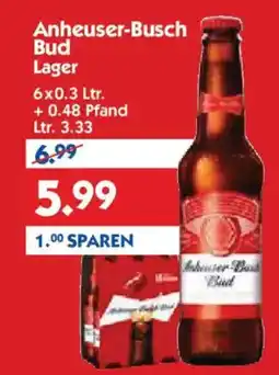 Hol'ab Getränkemarkt Anheuser-Busch Bud Lager Angebot