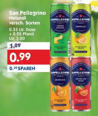 Hol'ab Getränkemarkt San Pellegrino Naturali Angebot
