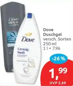 Budni Dove Duschgel Angebot