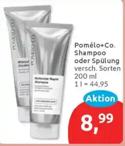 Budni Pomelo+Co. Shampoo oder Spülung Angebot