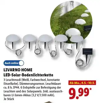 LIVARNO HOME LED-Solar-Bodenlichterkette