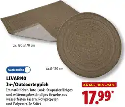 Lidl LIVARNO In-/Outdoorteppich Angebot