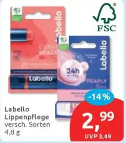 Budni Labello Lippenpflege Angebot