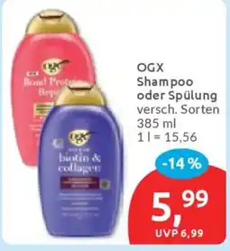 Budni OGX Shampoo oder Spülung Angebot