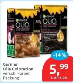 Budni Garnier Olia Coloration Angebot