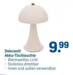 Rossmann Dekowelt Akku-Tischleuchte Angebot
