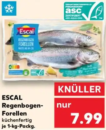 Kaufland ESCAL Regenbogen Forellen Angebot