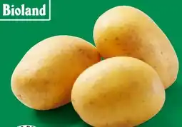 Lidl Speisekartoffeln Angebot