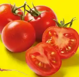Lidl Strauchtomaten Angebot