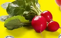 Lidl Radieschen Angebot