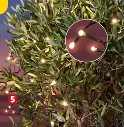 PENNY 50er-LED-Solarlichterkette Angebot