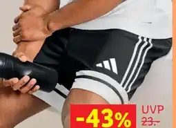 Lidl Adidas Herren Shorts Angebot