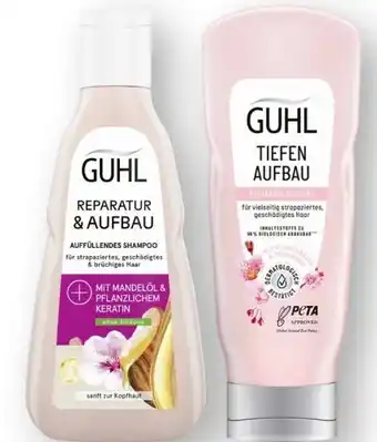 Scheck-in-Center Guhl Reparatur & Aufbau Shampoo Angebot
