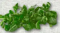 nahkauf Rewe Regional Feldsalat Angebot