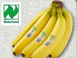 nahkauf Rewe Bio Bio-Bananen Angebot