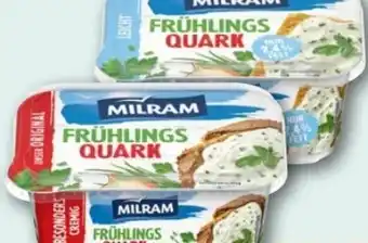 REWE Center Milram Gewürzquark Angebot