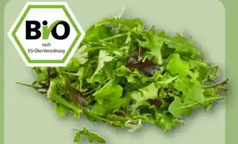 REWE Center Rewe Bio Crispy Salatmix Angebot