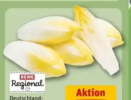 REWE Center Rewe Regional Chicorée Angebot