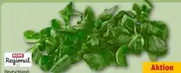 REWE Center Rewe Regional Feldsalat Angebot