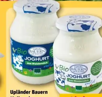 REWE Center Upländer Bauern Molkerei Bio Joghurt Natur Angebot