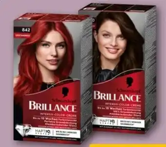 REWE Center Schwarzkopf Brillance Intensiv-Color Creme Angebot