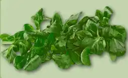 REWE Rewe Regional Feldsalat Angebot