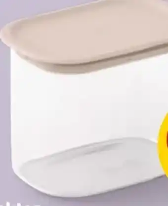 PENNY Brabantia Stapelbarer Behälter Angebot
