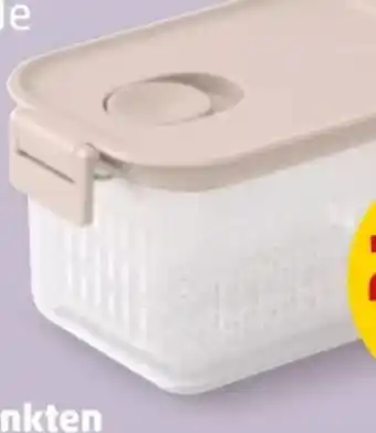 PENNY Brabantia Frischhaltebox Angebot