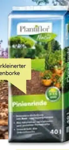 BayWa Bau & Garten Plantiflor Pinienrinde Angebot