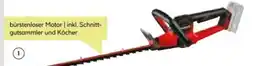 BayWa Bau & Garten Einhell Akku-Heckenschere GP-CH 18/50 Li BL-Solo Angebot
