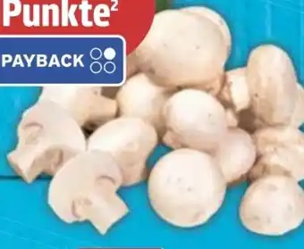 E-Center Gut & Günstig Frische Champignons Angebot