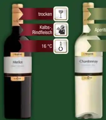 E-Center Cavit Pinot Grigio Angebot