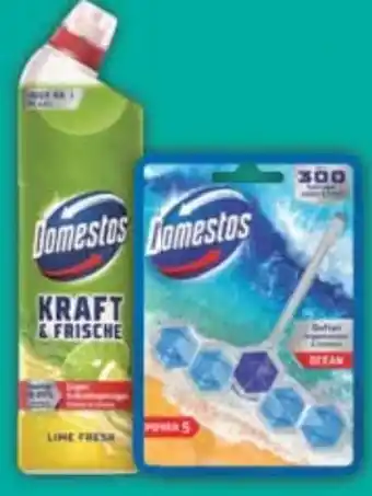 E-Center Domestos WC-Stein Angebot