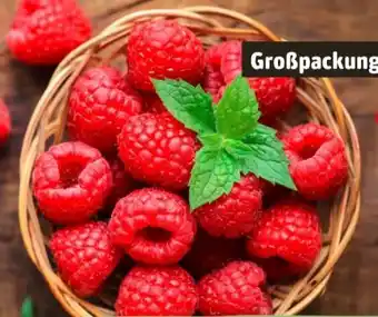 REWE Himbeeren Angebot