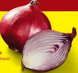 Lidl Zwiebeln Angebot