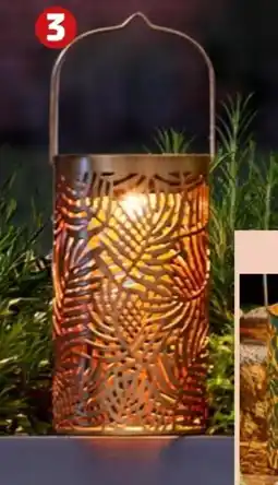 PENNY Solar-Laterne Angebot