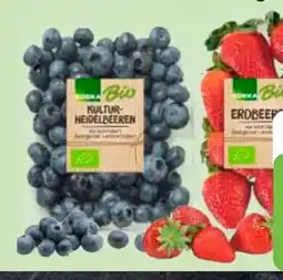 Edeka Edeka Bio Bio-Kulturheidelbeeren Angebot