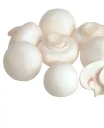 Edeka Champignons Angebot
