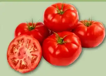 REWE Center Fleischtomaten Angebot