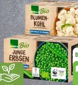 Edeka Edeka Bio Gemüse Angebot