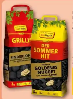 REWE Center proFagus Holzkohlebriketts Grillis Angebot
